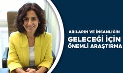 KEKEÇOĞLU: KISA VADEDE KORKULACAK BİR DURUM YOK