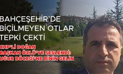“GÖZ BOYAMA MÜKEMMEL, İCRAAT SIFIR”