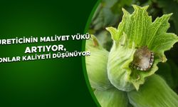 ‘BİZ DE MÜCADELEYE DESTEK VERİYORUZ’ AÇIKLAMASI