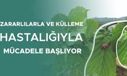FINDIK ÜRETİCİLERİ VE ARICILAR DİKKAT!
