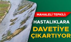 KARACA DERESİ TEMİZLENMEYİ BEKLİYOR