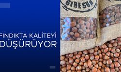 YENİ ÇALIŞMA: ZARAR YOĞUNLUĞU ARAŞTIRILIYOR