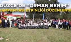 KENT ORMANINA BIRAKILAN ÇÖPLER TOPLANDI