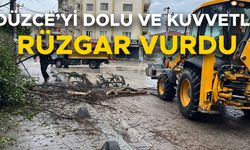 BİRÇOK BÖLGEDE AĞAÇLAR DERVRİLDİ