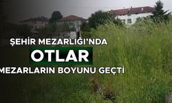 VATANDAŞLAR TEPKİLİ ÇALIŞMA BEKLİYOR