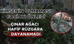 CAMİNİN YANI BAŞINDA FACİADAN DÖNÜLDÜ