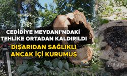 KESİLEN AĞACIN YERİNE FİDAN DİKİLECEK