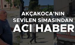ELEKTRİK AKIMINA KAPILARAK HAYATINI KAYBETTİ