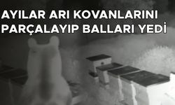 O ANLAR GÜVENLİK KAMERASINA YANSIDI
