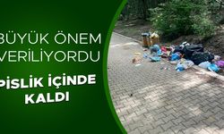 HEM DUYARSIZLIK HEM YETERSİZLİK GÜZELİM ALANI MAHVEDİYOR