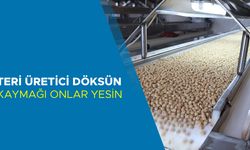 9 AYDA 2 MİLYAR DOLARI AŞKIN GELİR ELDE ETTİLER