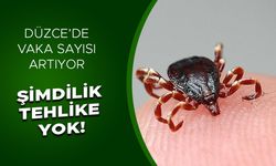 BAKANLIKTAN YENİ ‘KENE’ AÇIKLAMASI