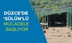 FINDIK BAHÇELERİNE YAKIN BÖLGELERE SALINACAK