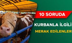 KURBAN YERİNE SADAKA İLE AYNI İBADET OLUR MU?