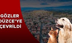 DÜZCE’DE Kİ O DERNEKLER DENETLENİYOR MU?
