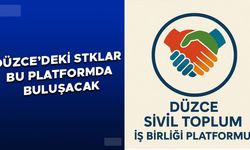 DÜZCE SİVİL TOPLUM İŞ BİRLİĞİ PLATFORMU KURULDU