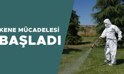 PARK, BAHÇE VE KAMUYA AÇIK ALANLAR MARKAJDA