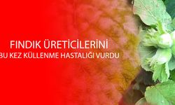 BAHÇELERDE YAPILAN KONTROLLERDE YOĞUN OLARAK GÖRÜLDÜ
