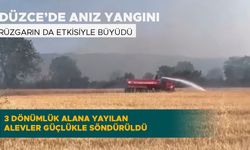 3 DÖNÜMLÜK ALANA YAYILAN ALEVLER GÜÇLÜKLE SÖNDÜRÜLDÜ
