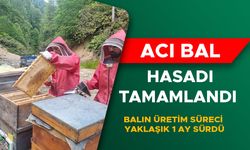 BALIN ÜRETİM SÜRECİ YAKLAŞIK 1 AY SÜRDÜ