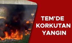 OTOYOLDA TEDİRGİN EDEN YANGIN İTFAİYE TARAFINDAN SÖNDÜRÜLDÜ