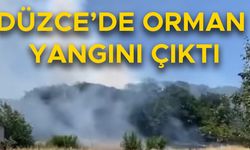 TÜM EKİPLER VE KÖYLÜLER SEFERBER OLDU