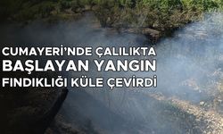 ORMAN VE YERLEŞİM ALANINA SIÇRAMADAN ALEVLER SÖNDÜRÜLDÜ