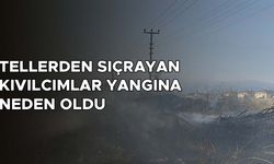 5 DÖNÜMLÜK OTLUK ALAN YANDI
