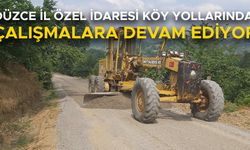 YILDIZTEPE KÖY YOLUNDA BAKIM VE ONARIM ÇALIŞMALARI TAMAMLANDI
