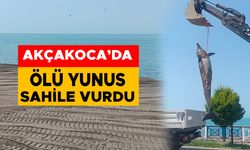 SAHİLE VURAN ÖLÜ YUNUS EKİPLER TARAFINDAN KALDIRILDI