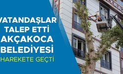CAN VE MAL GÜVENLİĞİNDE TEHDİT OLUŞTURAN AĞAÇLAR BUDANDI