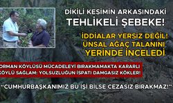 ÜNSAL: DİKİLİ KESİM UYGULAMASI İVEDİLİKLE SONLANDIRILMALI