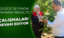 FINDIK BAHÇELERİ KÜLLENME HASTALIĞI VE KURAKLIĞIN TEHDİDİ ALTINDA