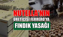 TÜRKİYE'DE FINDIK ALIMI VE İHRACAT YAPMASI YASAKLANDI