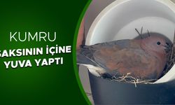 İŞLETME SAHİBİ SATIŞI DURDURDU