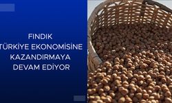 YİNE İHRACATTA REKOR KIRDI