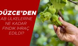İŞTE YILIN İLK YARISINDAKİ RAKAMLAR