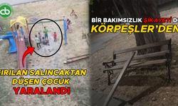 ‘BİRÇOK KEZ ‘YENİLEYİN’ DEDİK, CUMAYERİ BELEDİYESİ İHMALKAR!’