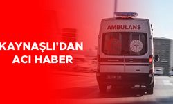 ARI SOKTU, HAYATINI KAYBETTİ