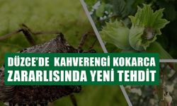 İL MÜDÜRÜ UZUN’DAN ÜRETCİLERE DÜZENLİ KONTROL VE KİMYASAL MÜCADELE ÇAĞRISI