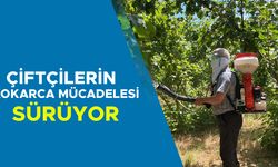 ÜRETİCİ KÜKÜRT VE SAMURAY ARISINA GÜVENİYOR