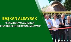 AKÇAKOCA’DA “FINDIK MOB” BÜFESİ HİZMETE GİRDİ