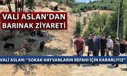 “TOPLAMA FAALİYETİ KANUNA UYGUN OLARAK YÜRÜTÜLÜYOR”