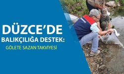 TOPUK YAYLASI GÖLETİNE 100 BİN ADET PULLU SAZAN YAVRUSU BIRAKILDI