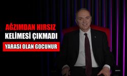 BENİ ARAYIP ASLINI ÖĞRENEBİLİRDİ
