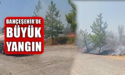 ANIZ YANGINI GENİŞ ALANA YAYILDI