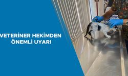 YAVRU KEDİ ÖLÜMDEN DÖNDÜ
