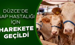 HASTALIĞIN ÖNÜNE GEÇMEK İÇİN BÜYÜK BAŞ HAYVANLAR AŞILANACAK