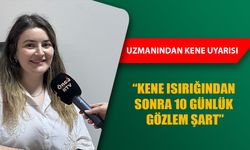 “KENEYİ KENDİNİZ ÇIKARABİLİRSİNİZ, ANCAK BU HATALARDAN KAÇININ”