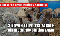 KÖY HALKI YETKİLİLERE SESLENDİ:  KÖYDE GEZMEYE KORKAR OLDUK